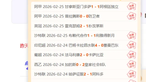 山东12支队伍竞技第十五届运动会群众足球赛事